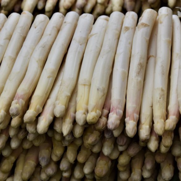 asperge seizoen