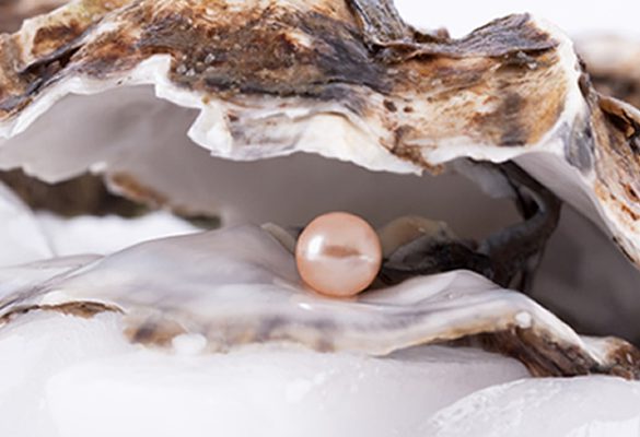 oesters