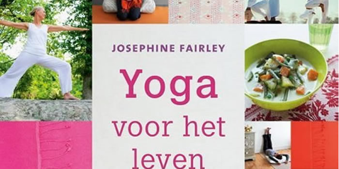 boek yoga voor het leven