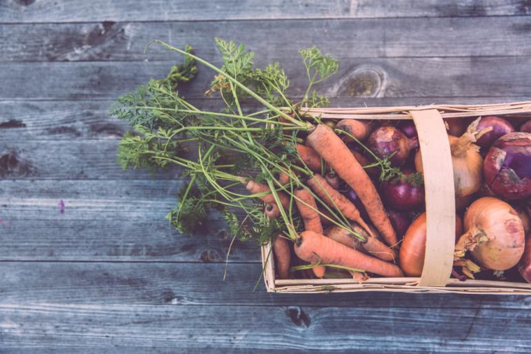homesteading